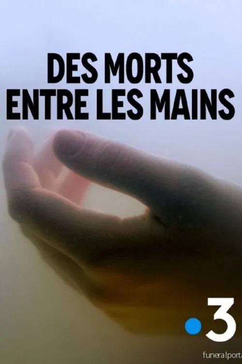Poster do filme Des morts entre les mains