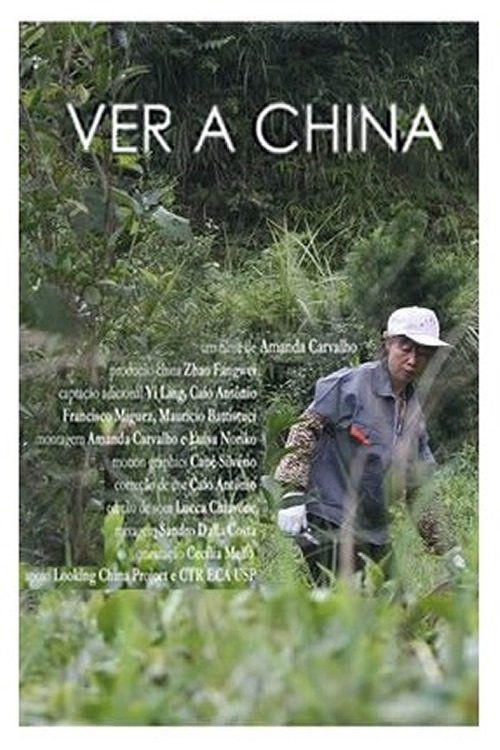 Ver a China movie poster