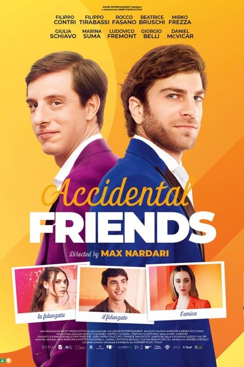 Poster do filme Accidental Friends
