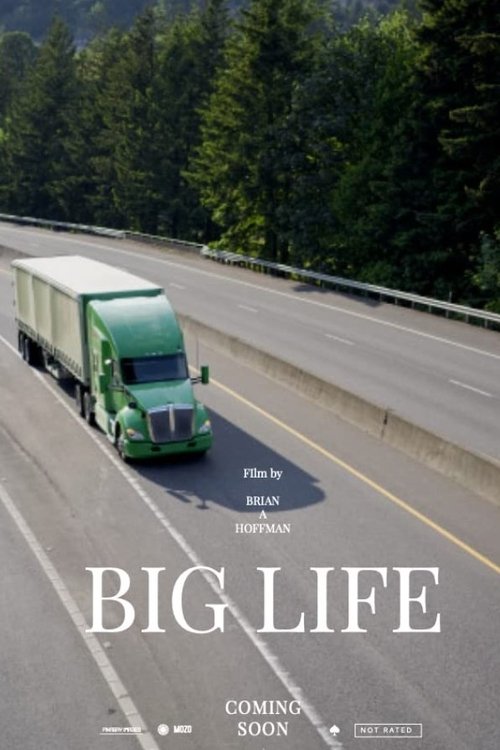 Big Life movie poster