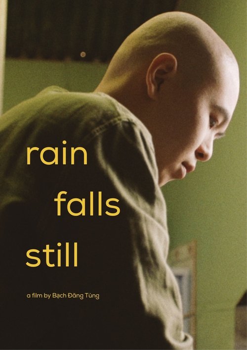 Rain Falls Still movie poster