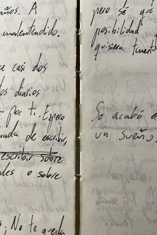 Releyendo mi diario (Autorretrato) movie poster