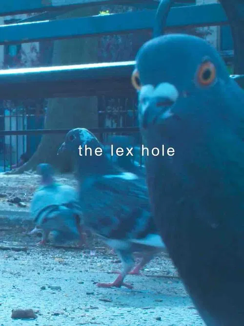 The Lex Hole movie poster