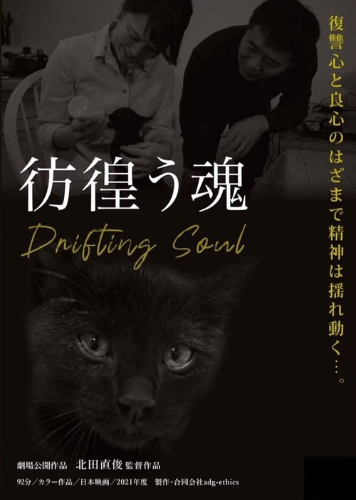 Drifting Soul movie poster