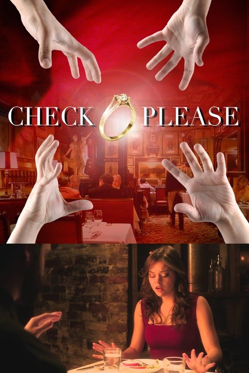 Check Please movie poster