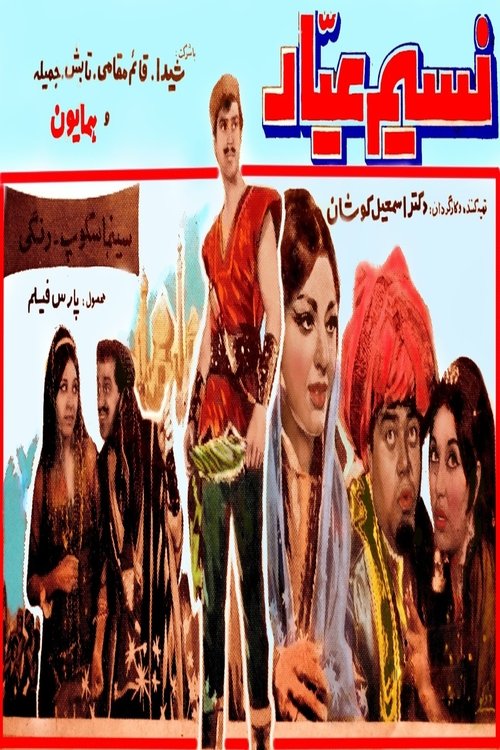 Nasim-e ayyar movie poster