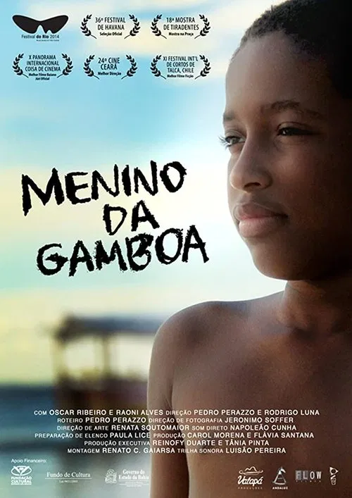 Menino da Gamboa movie poster