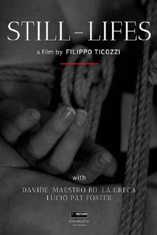 Still-Lifes movie poster