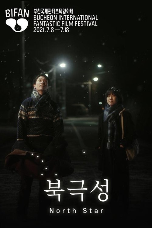 Poster do filme North Star