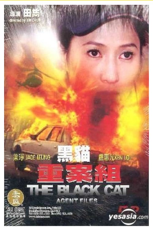 The Black Cat Agent Files movie poster