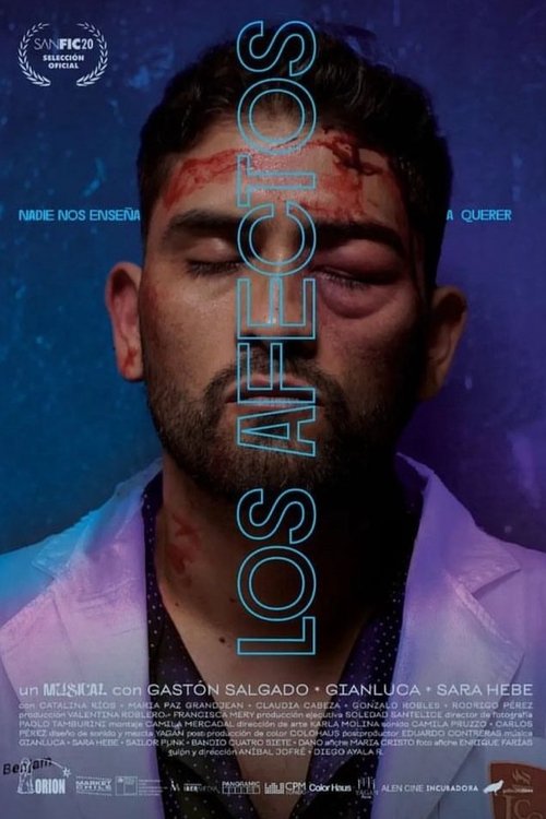 Los afectos movie poster
