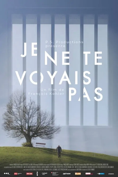 Je ne te voyais pas movie poster