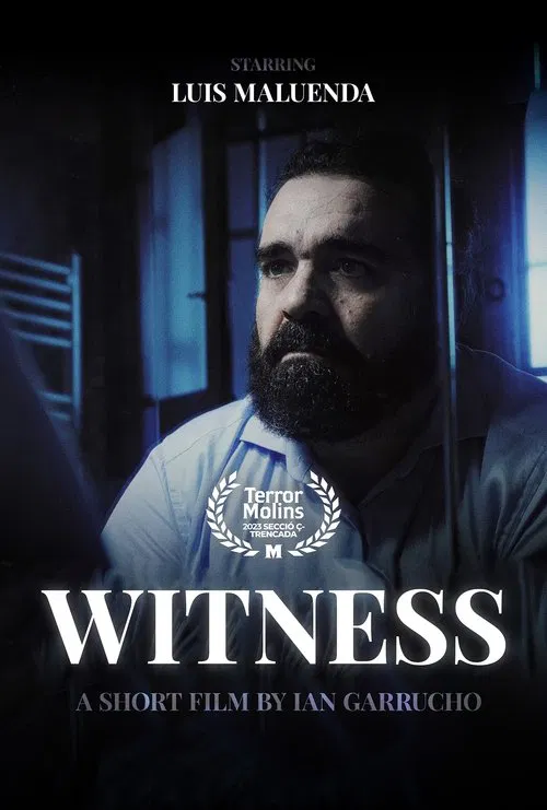 Witness movie poster
