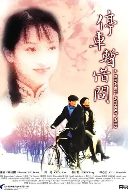 A Pinwheel Without Wind movie poster