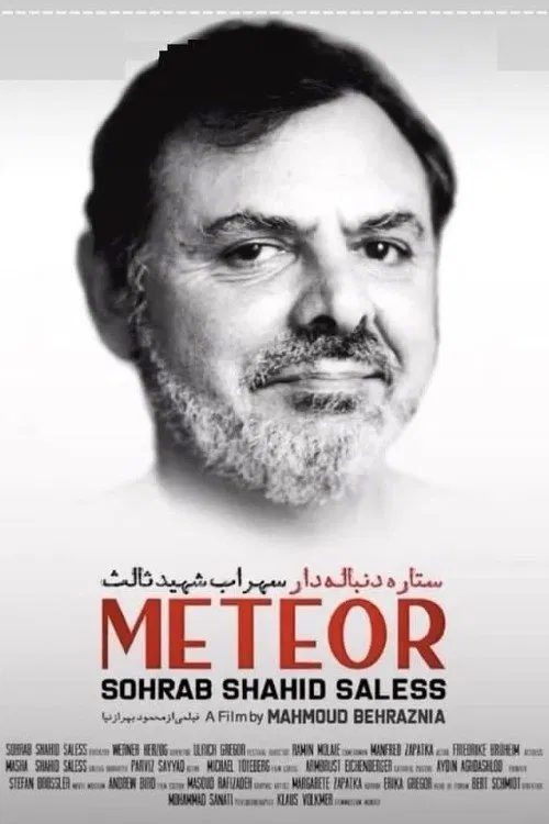 Meteor: Sohrab Shahid Saless movie poster