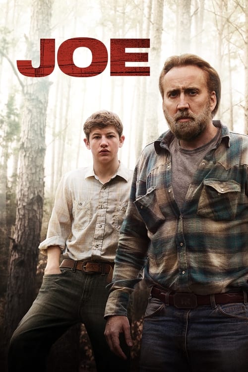 Poster do filme Joe