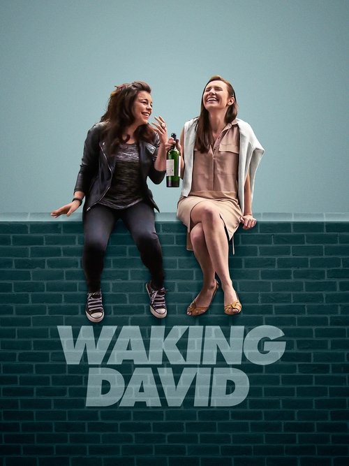 Waking David movie poster