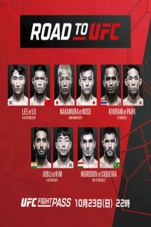 Road to UFC: Singapore 6 movie poster