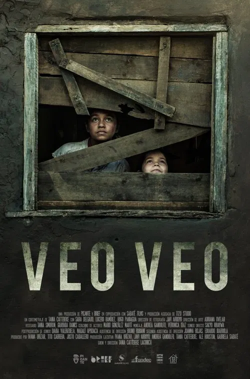 What Do You See? movie poster