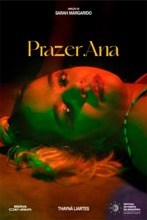 Prazer, Ana movie poster