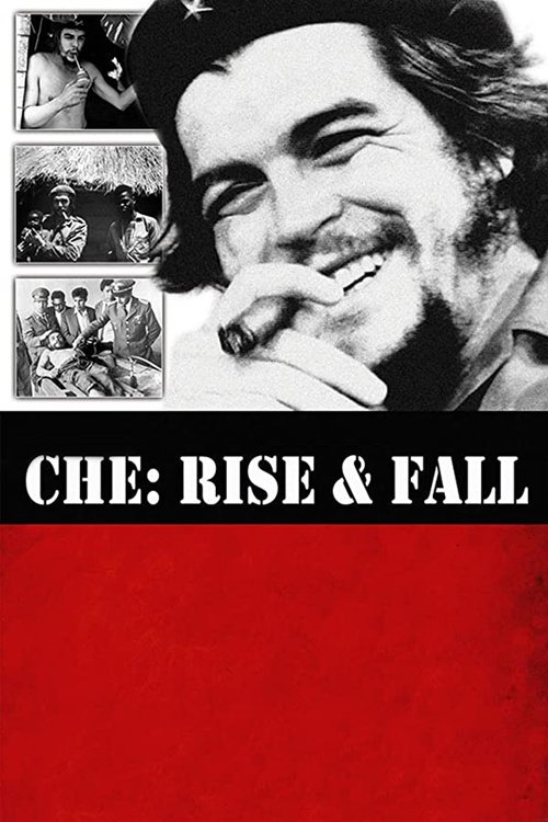 Che: Rise and Fall movie poster