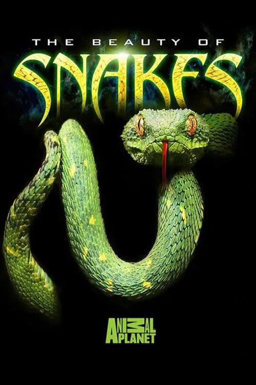 The Beauty of Snakes movie poster