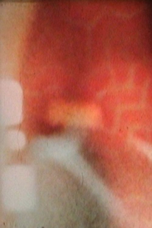 Along with the Phoenix movie poster