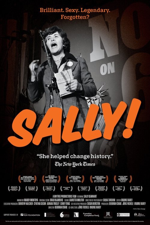 Poster do filme Sally!