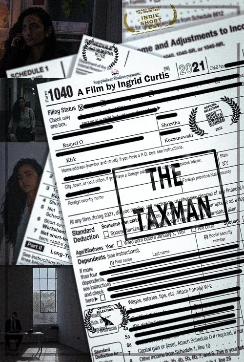 The Taxman movie poster