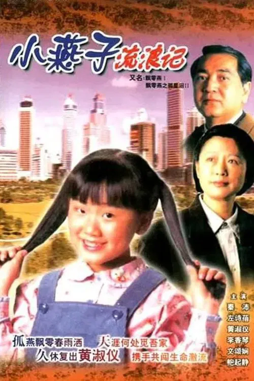 The Little Vagrant Lady tv show poster
