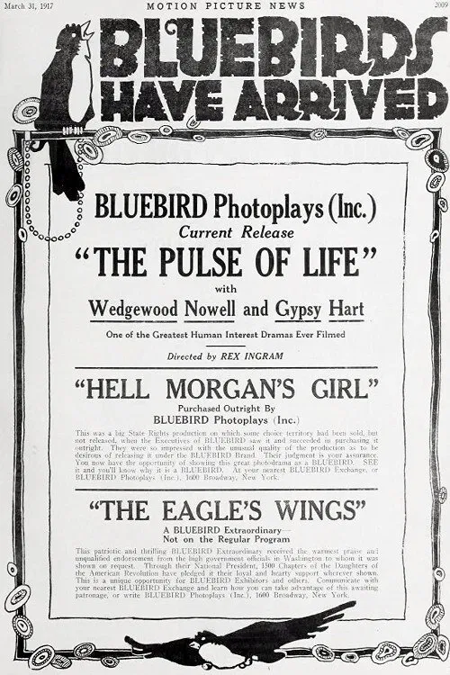 The Pulse of Life movie poster