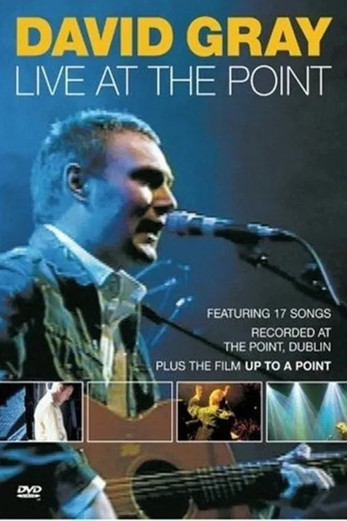 David Gray: Live at the Point movie poster