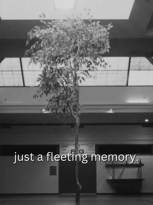 just a fleeting memory. movie poster