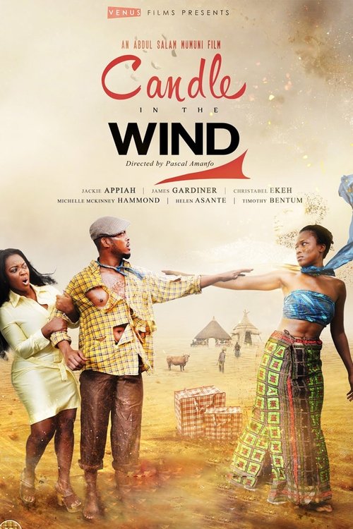 Candle in the Wind movie poster
