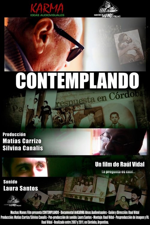 Poster do filme Contemplating