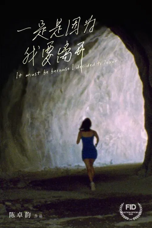 It Must Be Because I Decided to Leave movie poster