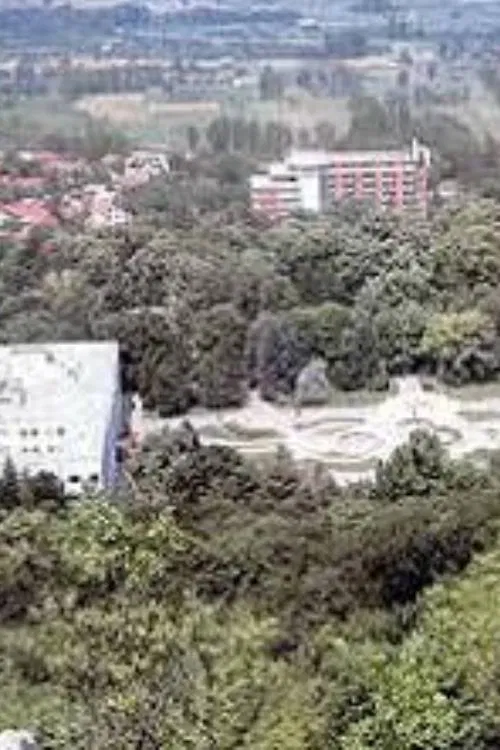 sara reupload movie poster