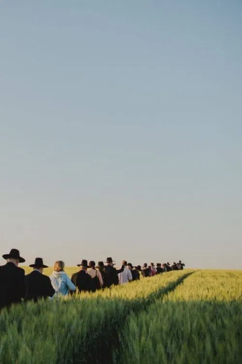 Os Cantadores de Paris movie poster