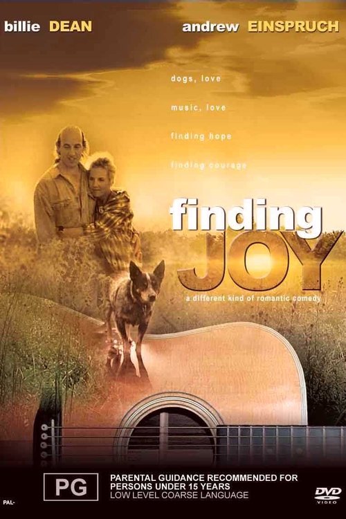 Poster do filme Finding Joy
