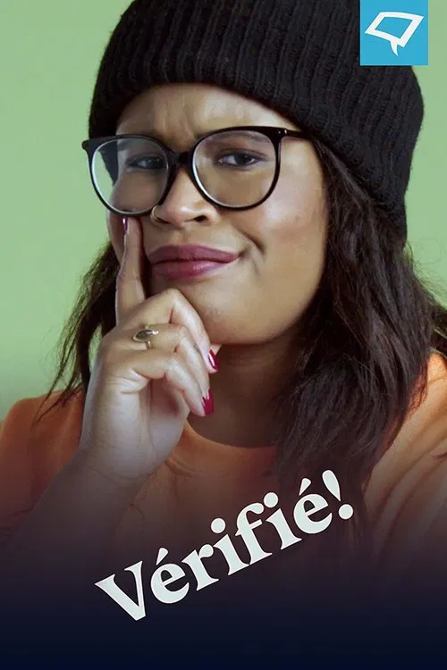 Vérifié! tv show poster