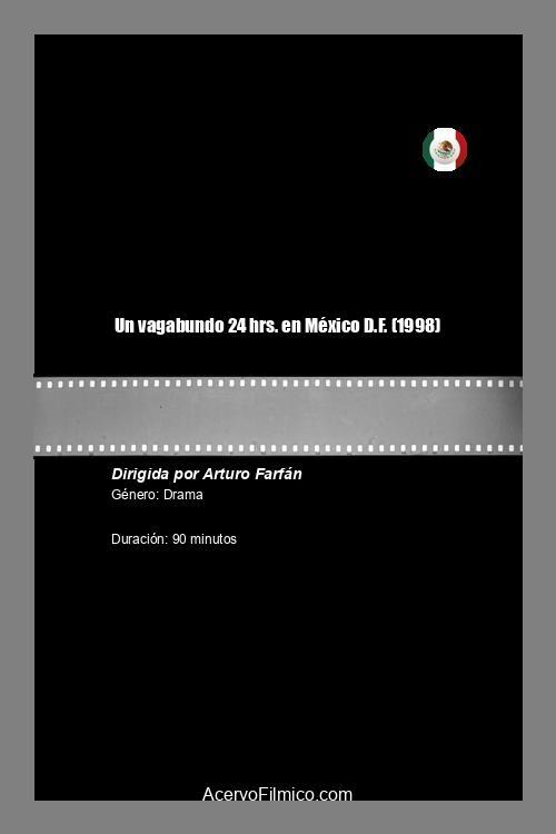 Un vagabundo 24 hrs. en México D.F. movie poster