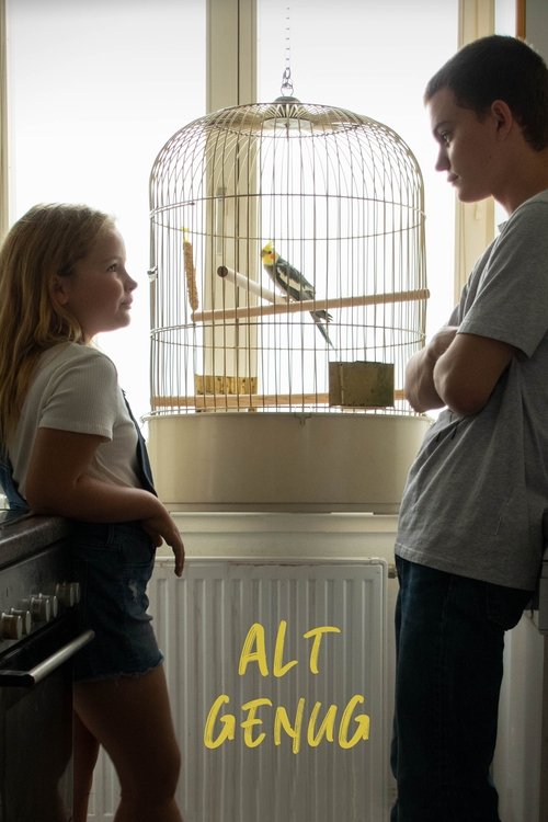 Alt Genug movie poster