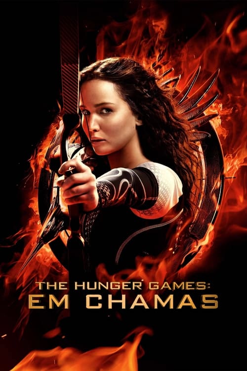 Poster do filme Jogos Vorazes: Em Chamas