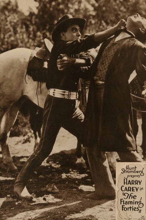 The Flaming Forties movie poster