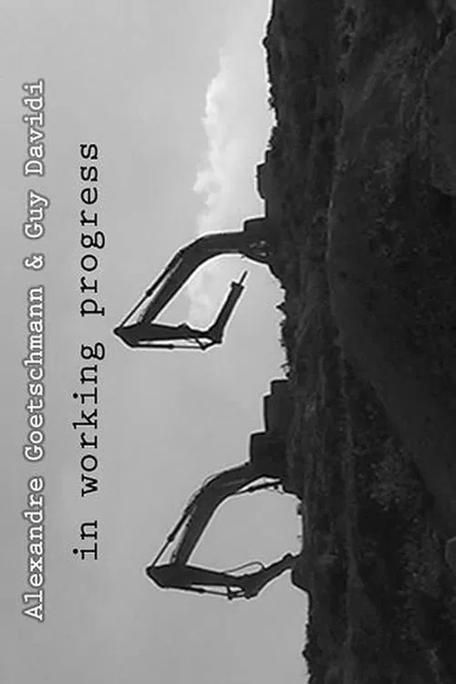 In Working Progress movie poster