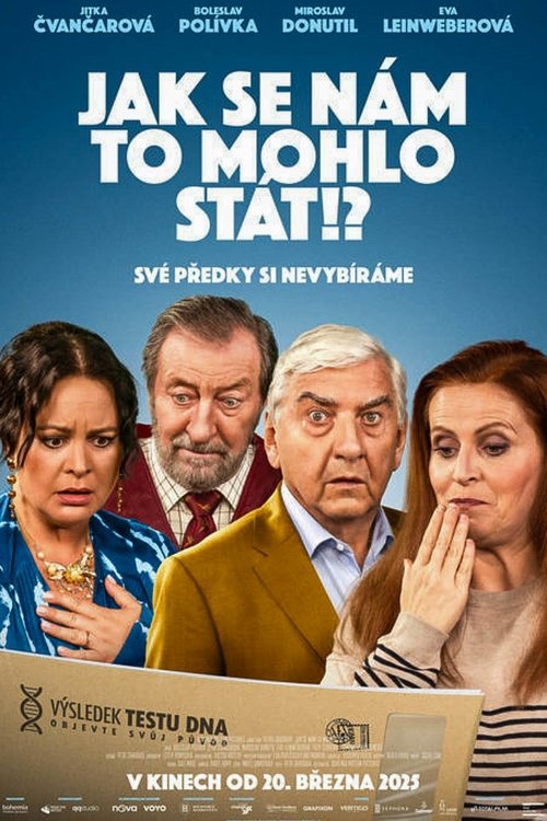 Poster do filme Jak se nám to mohlo stát!?