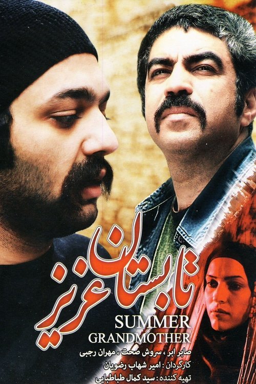 Summer of Grandmother movie poster