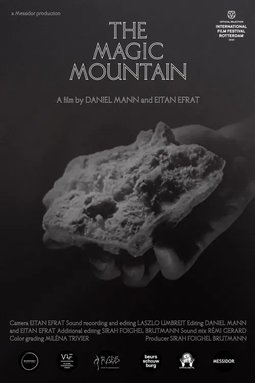 The Magic Mountain movie poster