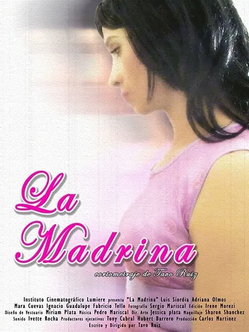 The Godmother movie poster