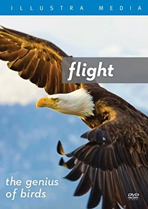 Poster do filme Flight: The Genius of Birds